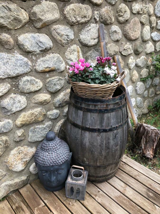 Sarl L'Alzina Villa Vernet-les-Bains Bagian luar foto